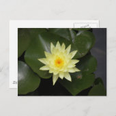 ライパド ポストカード (正面/裏面)