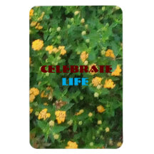 ライフお祝いフレキシブル磁石