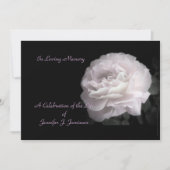 ライフお祝い招待状淡い色のピンクローズ 招待状 (正面)