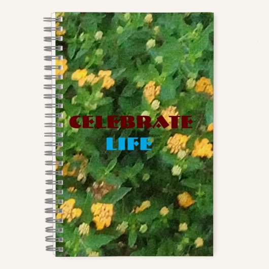 ライフお祝い緩和曲線 ノートブック (正面)