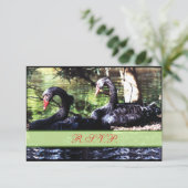 ライフのための仲間ブラックスワンズ返信カード 出欠カード (スタンド正面)