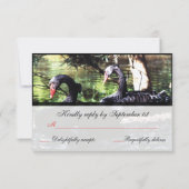 ライフのための仲間ブラックスワンズ返信カード 出欠カード (裏面)