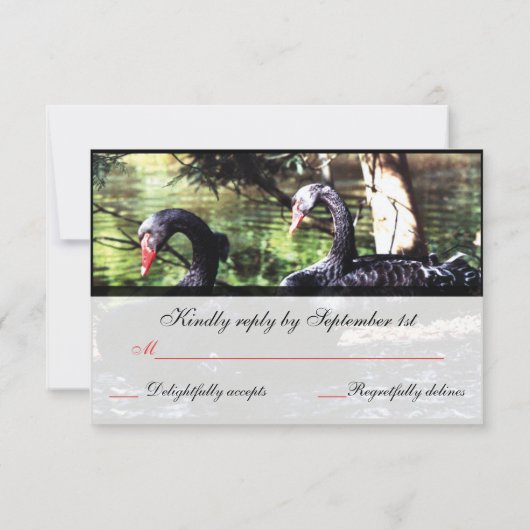 ライフのための仲間ブラックスワンズ返信カード 出欠カード (裏面)