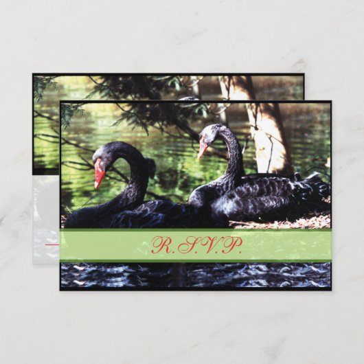 ライフのための仲間ブラックスワンズ返信カード 出欠カード (正面/裏面)