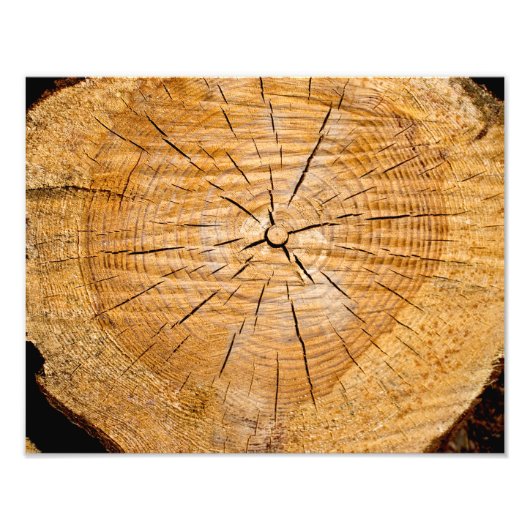 ライフのスライス フォトプリント            (正面)