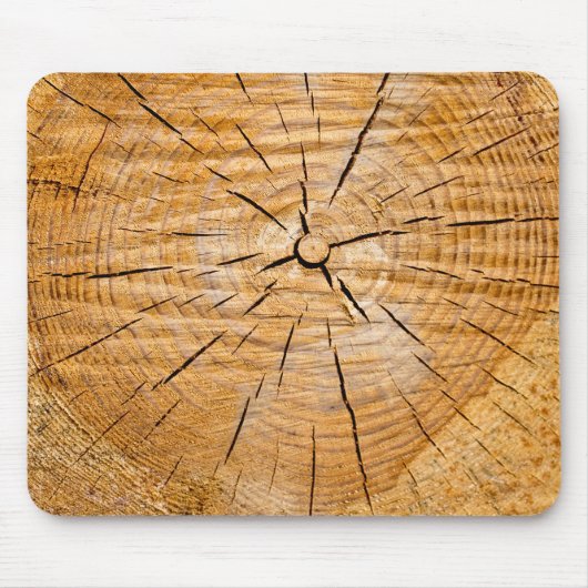 ライフのスライス マウスパッド (正面)