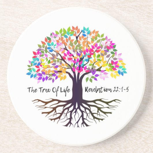 ライフコースターの木 コースター (正面)