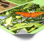 ライフサイクルの特徴 ポスター (角)