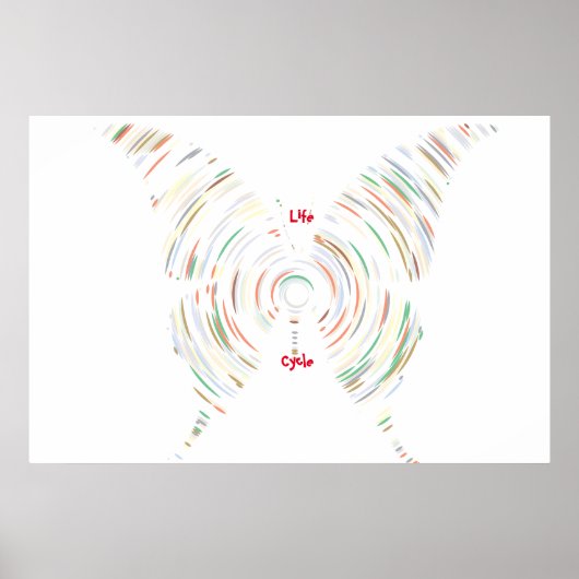ライフサイクルポスター ポスター (正面)