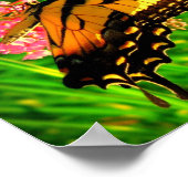 ライフサイクル ポスター (角)