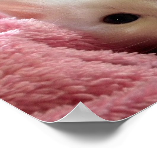 ライフシンプルズBeYourself子猫やる気を起こさせる引用文 ポスター (角)