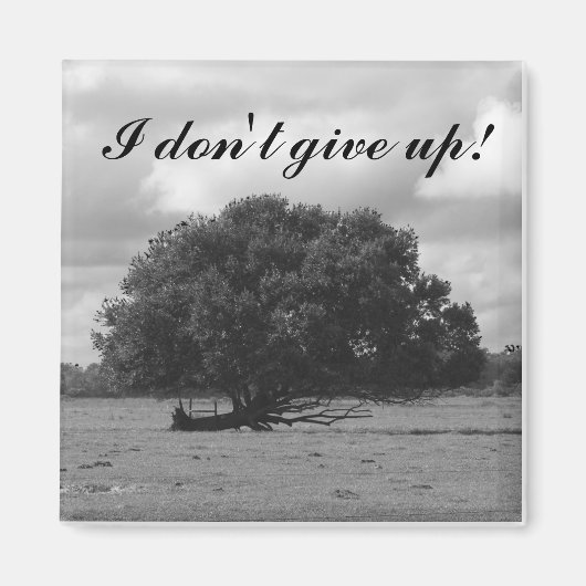 ライフスクエアマグネットの木 マグネット (正面)