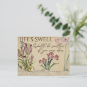 ライフズウェルハミングバードヴィンテージスタイルはがき ポストカード (スタンド正面)