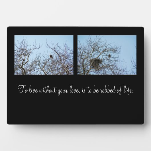 ライフパートナー フォトプラーク (正面)