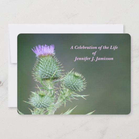 ライフピンクの野生の花のアザミのお祝い 招待状 (正面)