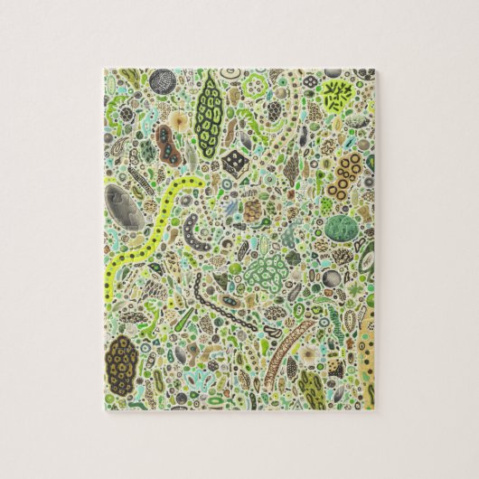 ライフフォーム ジグソーパズル (縦)