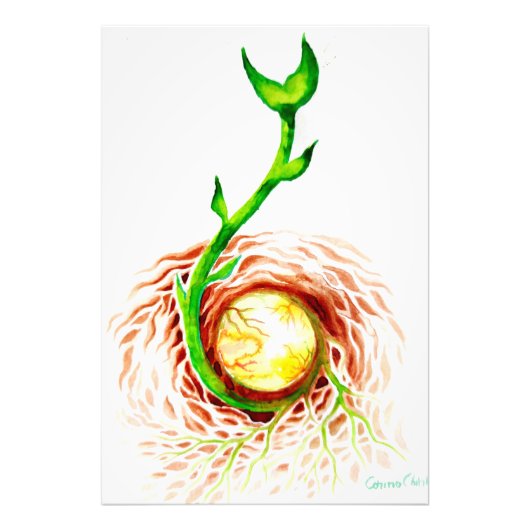 ライフポスターキャンバス印刷のシード フォトプリント            (正面)