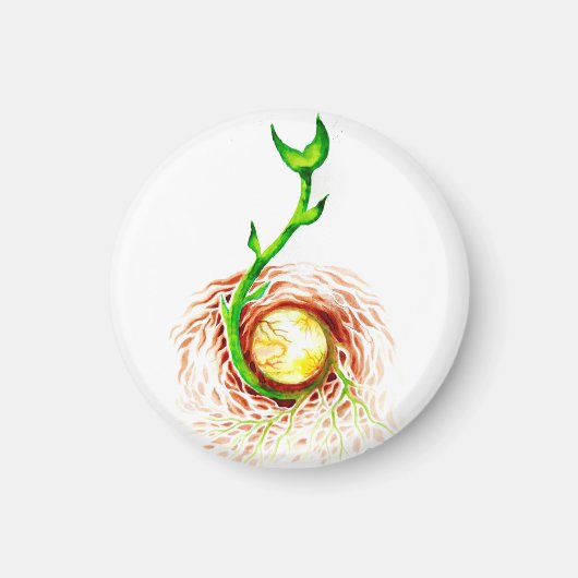 ライフポスターキャンバス印刷はがきマグンのシード マグネット (正面)