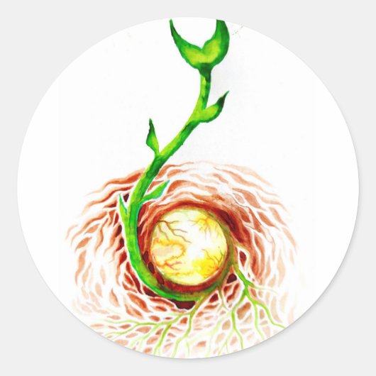 ライフポスターキャンバス印刷はがきマグンのシード ラウンドシール (正面)