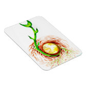 ライフポスターキャンバス印刷ポストカードのシード マグネット (右側)