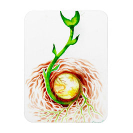 ライフポスターキャンバス印刷ポストカードのシード マグネット