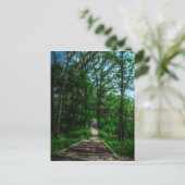 ライフポストカードのパス ポストカード (スタンド正面)