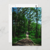 ライフポストカードのパス ポストカード (正面/裏面)