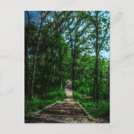 ライフポストカードのパス ポストカード (正面)