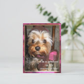 ライフポストカードの嵐 ポストカード (スタンド正面)