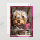 ライフポストカードの嵐 ポストカード (正面/裏面)