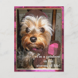 ライフポストカードの嵐 ポストカード