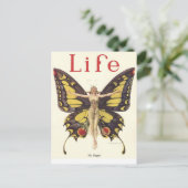 ライフマガジン ポストカード (スタンド正面)