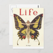 ライフマガジン ポストカード (正面/裏面)