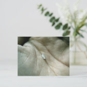 ライフラインに沿ってセーリング ポストカード (スタンド正面)