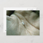 ライフラインに沿ってセーリング ポストカード (正面/裏面)