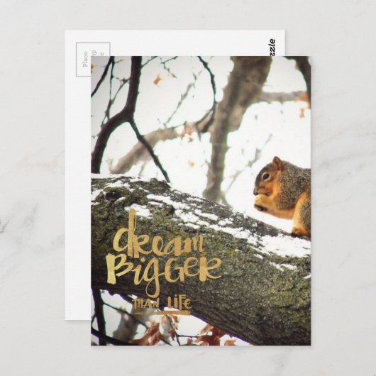 ライフリスよりも大きな夢 ポストカード (正面/裏面)