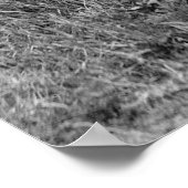 ライフル射程: 1917年 ポスター (角)