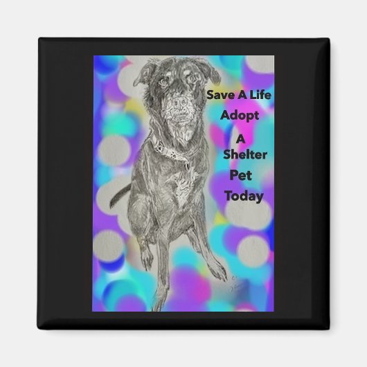 ライフ救ペットのメッセージ磁石 マグネット (正面)