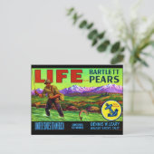 ライフ梨 ポストカード (スタンド正面)