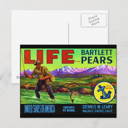 ライフ梨 ポストカード (正面/裏面)