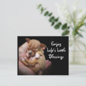 ライフ楽しむズ・リトル・恵み ポストカード (スタンド正面)