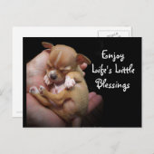 ライフ楽しむズ・リトル・恵み ポストカード (正面/裏面)
