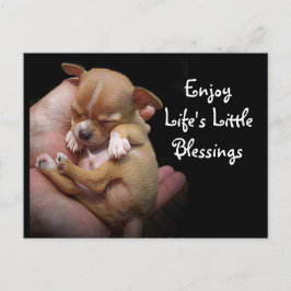ライフ楽しむズ・リトル・恵み ポストカード