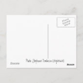 ライフ水中競技 ポストカード (裏面)