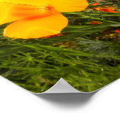 ライフ ポスター (角)