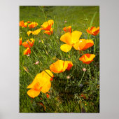 ライフ ポスター (正面)