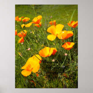 ライフ ポスター