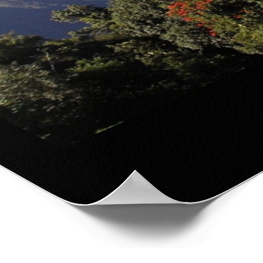 ライブアロハ ポスター (角)