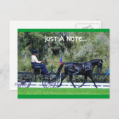 ライブオークコード ポストカード (正面/裏面)