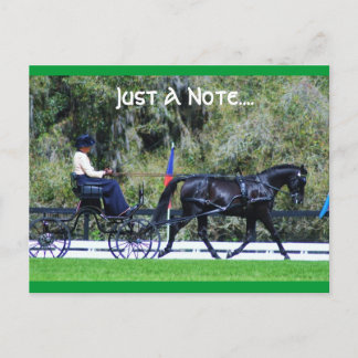 ライブオークコード ポストカード